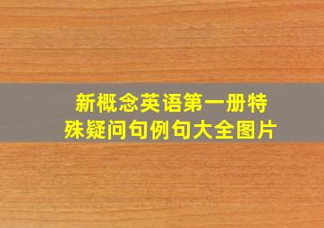 新概念英语第一册特殊疑问句例句大全图片