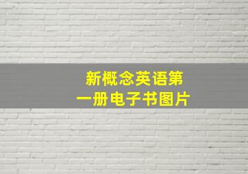 新概念英语第一册电子书图片