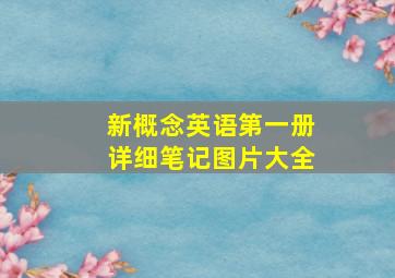 新概念英语第一册详细笔记图片大全