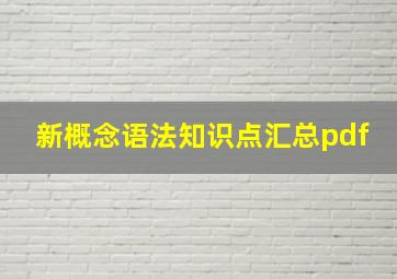 新概念语法知识点汇总pdf