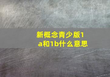 新概念青少版1a和1b什么意思