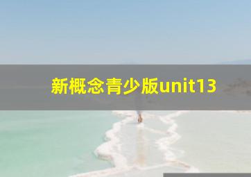 新概念青少版unit13