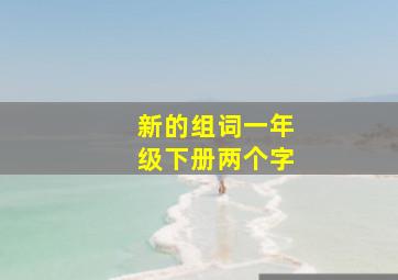 新的组词一年级下册两个字