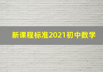 新课程标准2021初中数学