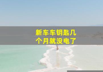 新车车钥匙几个月就没电了