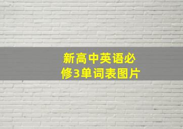 新高中英语必修3单词表图片