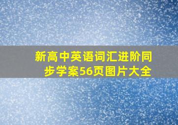 新高中英语词汇进阶同步学案56页图片大全