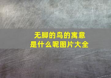 无脚的鸟的寓意是什么呢图片大全