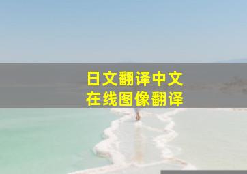 日文翻译中文在线图像翻译