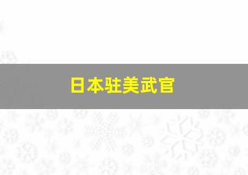 日本驻美武官