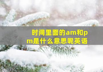 时间里面的am和pm是什么意思呢英语