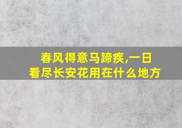 春风得意马蹄疾,一日看尽长安花用在什么地方