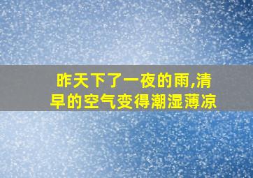 昨天下了一夜的雨,清早的空气变得潮湿薄凉