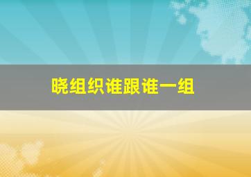 晓组织谁跟谁一组