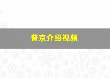 普京介绍视频