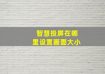 智慧投屏在哪里设置画面大小