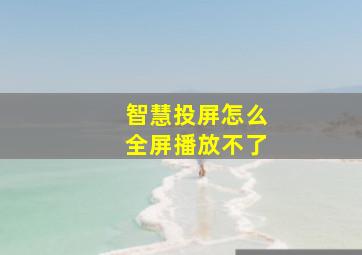 智慧投屏怎么全屏播放不了