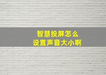 智慧投屏怎么设置声音大小啊