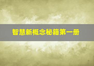 智慧新概念秘籍第一册