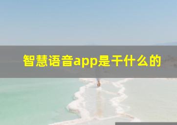 智慧语音app是干什么的