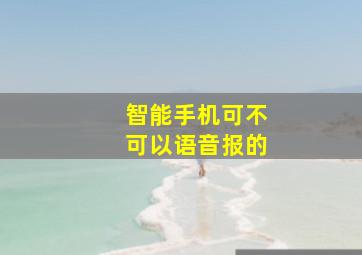 智能手机可不可以语音报的