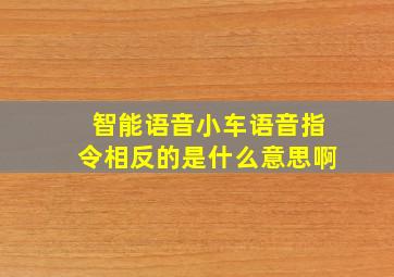 智能语音小车语音指令相反的是什么意思啊