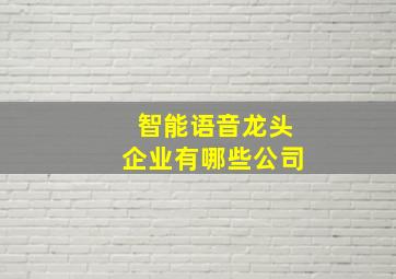 智能语音龙头企业有哪些公司