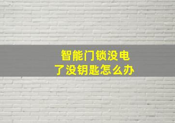 智能门锁没电了没钥匙怎么办