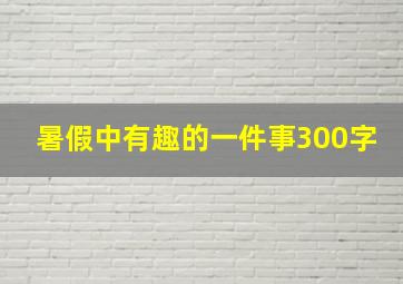 暑假中有趣的一件事300字