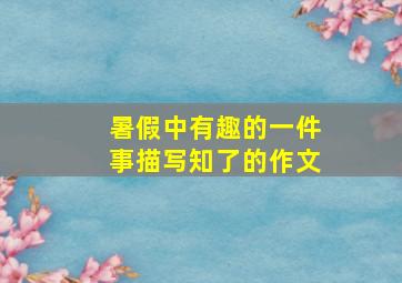 暑假中有趣的一件事描写知了的作文