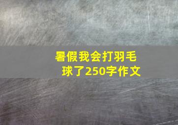 暑假我会打羽毛球了250字作文