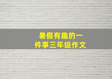 暑假有趣的一件事三年级作文