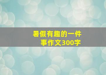 暑假有趣的一件事作文300字