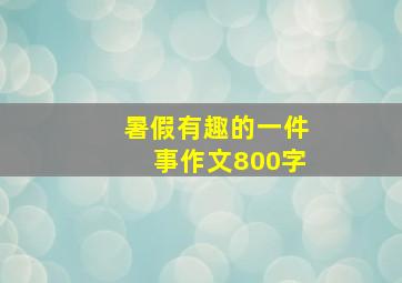 暑假有趣的一件事作文800字