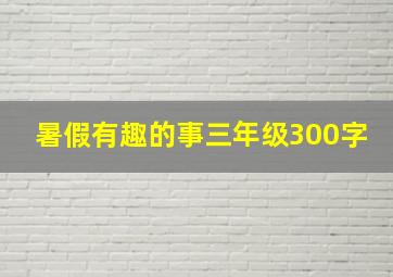 暑假有趣的事三年级300字