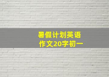 暑假计划英语作文20字初一