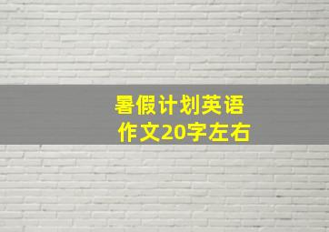 暑假计划英语作文20字左右