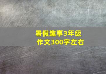 暑假趣事3年级作文300字左右