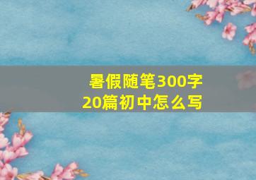 暑假随笔300字20篇初中怎么写