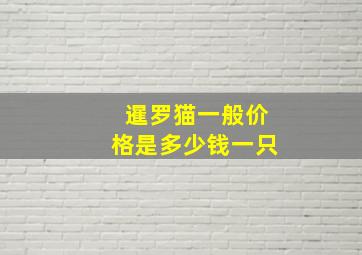 暹罗猫一般价格是多少钱一只