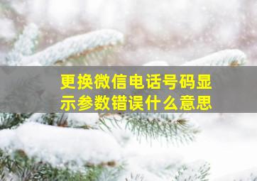 更换微信电话号码显示参数错误什么意思