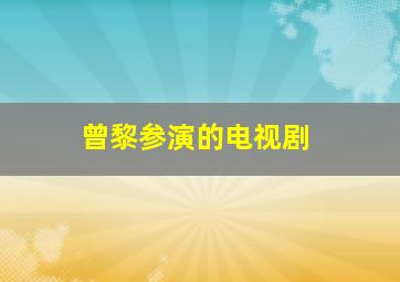 曾黎参演的电视剧