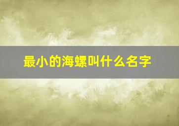 最小的海螺叫什么名字