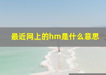 最近网上的hm是什么意思