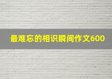 最难忘的相识瞬间作文600