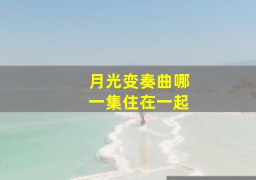 月光变奏曲哪一集住在一起