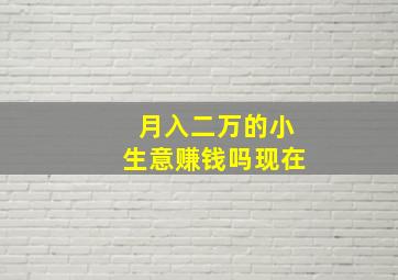 月入二万的小生意赚钱吗现在