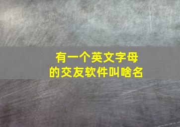 有一个英文字母的交友软件叫啥名