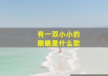 有一双小小的眼睛是什么歌