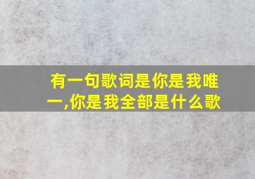 有一句歌词是你是我唯一,你是我全部是什么歌